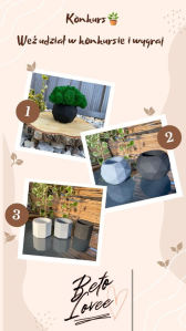 Konkurs w betolovee