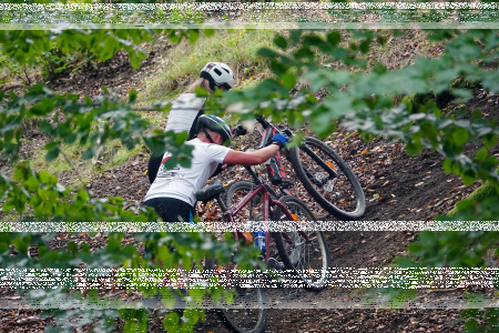 Konkurs fotograficzny "Rowerem przez las"