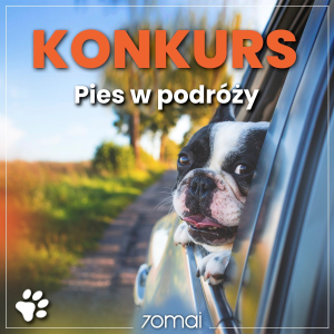 Konkurs "Pies w podróży"