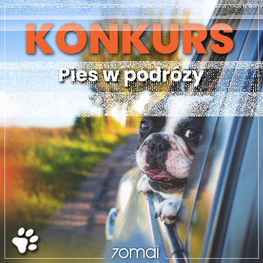 Konkurs "Pies w podróży"
