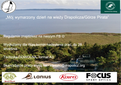 Konkurs "Mój wymarzony dzień na wieży Drapolicza/Górze Pirata"