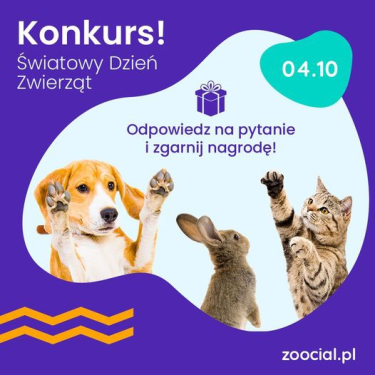 Konkurs "Jakie jest Twoje ulubione zwierzę i dlaczego?"