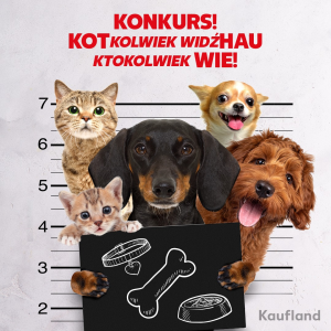 Konkurs "Kaufland na tropie"