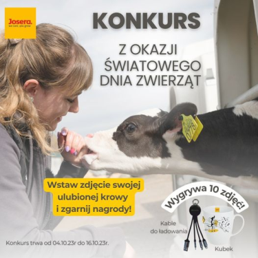 Konkurs "Opublikuj zdjęcie krowy" do godz. 12:00