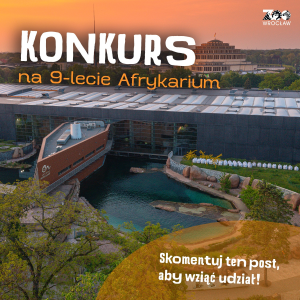 Konkurs na 9-lecie Afrykarium