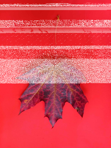 Konkurs "Kolory jesieni"