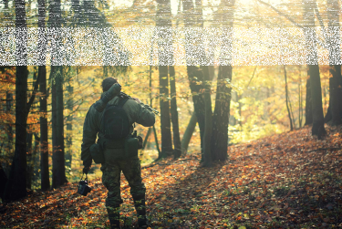 Konkurs fotograficzny "Jesienne przyrody fotografowanie"