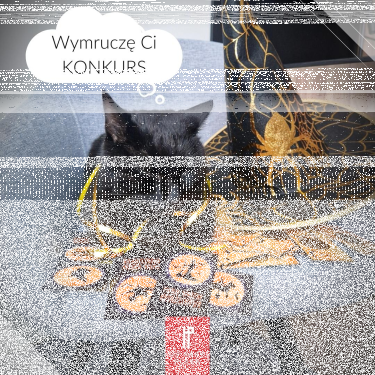 Konkurs "Andrzejkowy"