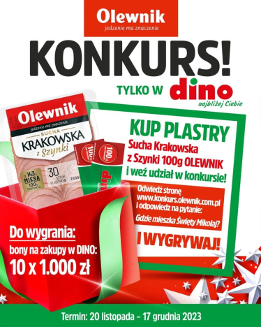 Konkurs "Gdzie mieszka Święty Mikołaj?" Olewnik Dino