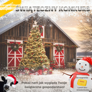 Konkurs fotograficzny "Mikołajkowy" do godz. 12:00