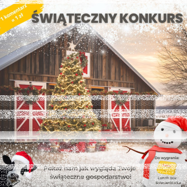 Konkurs fotograficzny "Mikołajkowy" do godz. 12:00