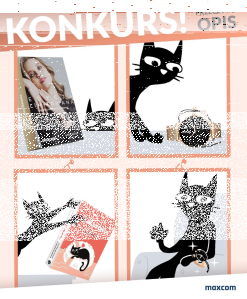 Konkurs "Majestatyczne koty"
