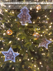 Konkurs fotograficzny "Moja choinka"