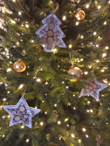 Konkurs fotograficzny "Moja choinka"