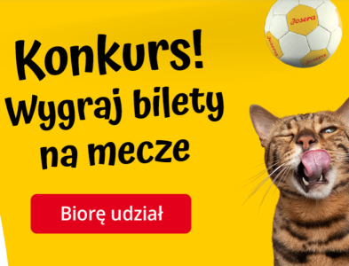 Konkurs "We all love to play"