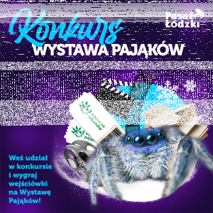 Łódź: Wygraj wejściówkę na wystawę pająków i skorpionów w Pasażu
