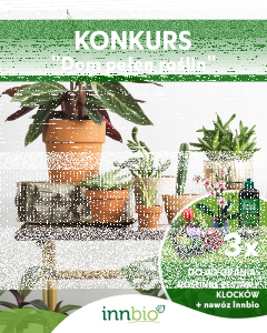 Konkurs "Dom pełen roślin"
