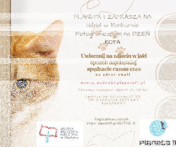 Konkurs "Dzień kota"