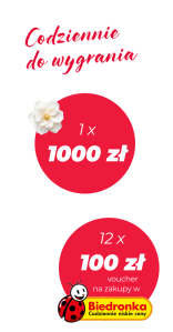 Konkurs "'Wiosenne porządki z Viledą" Biedronka