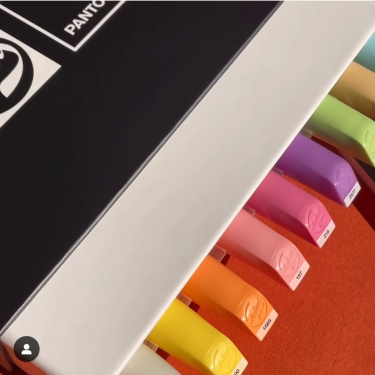 Plastyczny konkurs ornitologiczny