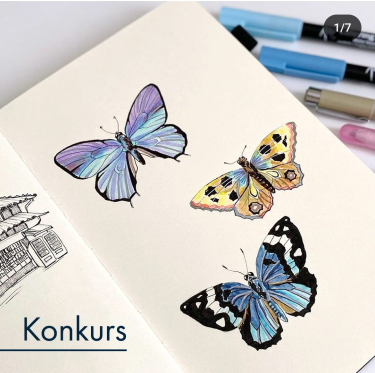 Konkurs plastyczny "Motyle"