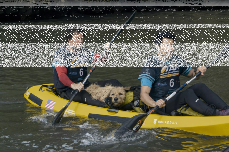 Konkurs "Mój pies Artur"