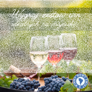 Konkurs "Majówka" 18+