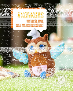 Konkrus "Wymyśl imię dla Sówki"