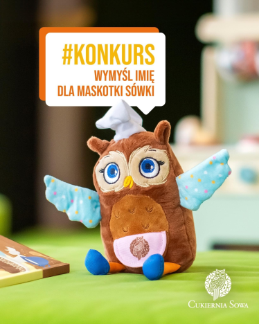 Konkrus "Wymyśl imię dla Sówki"