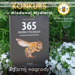 Konkurs w Miodowej Mydlarni