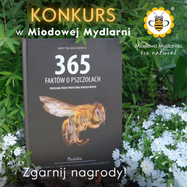 Konkurs w Miodowej Mydlarni