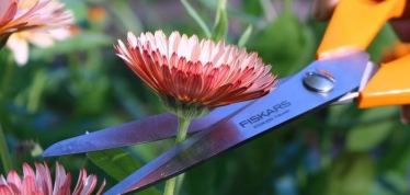 Konkurs "Ogrodowa harmonia"