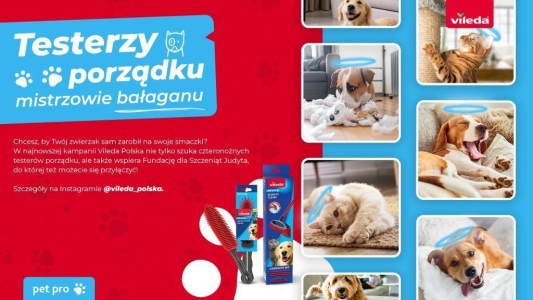 Konkurs "Testerzy porządku, mistrzowie bałaganu"