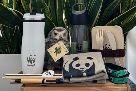 Konkurs "Moje ulubione drzewo"