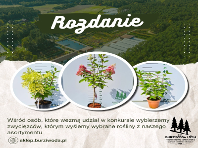 Konkurs "Świętujemy 8. edycję dni otwartych w naszej szkółce"