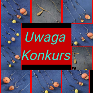 Konkurs "Leaderby MK"