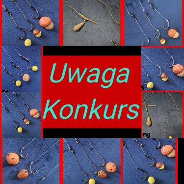 Konkurs "Leaderby MK"