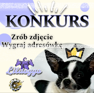 Konkurs fotograficzny: Wygraj adresówkę dla psa