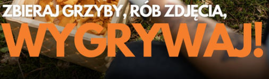 Konkurs fotograficzny "Grzybobranie w pełni"