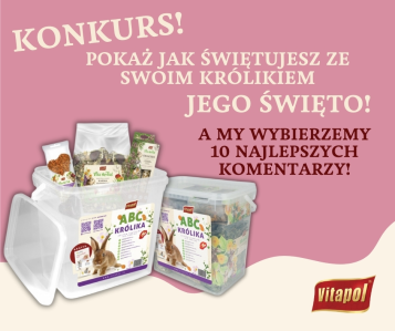 Konkurs z okazji Światowego Dnia Królika