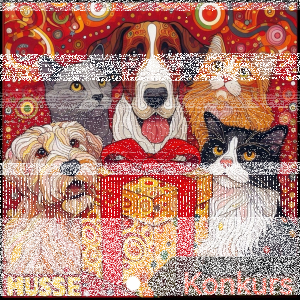 Konkurs "Husse"