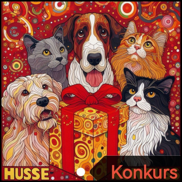 Konkurs "Husse"
