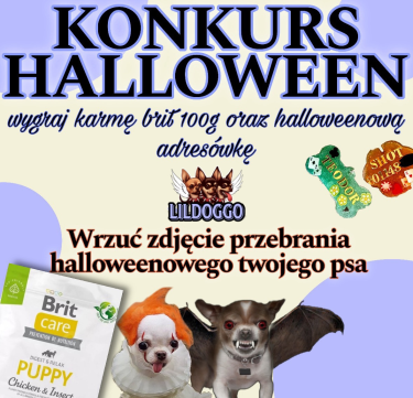 Lildoggo Halloween