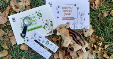 Konkurs "DZIKie podwórka – szukamy bezkręgowców"