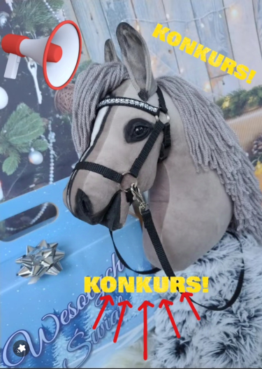 Wygraj hobby horse