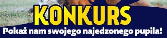Konkurs "Pokaż nam swojego najedzonego pupila"