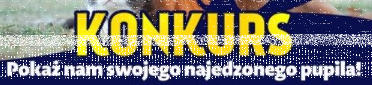 Konkurs "Pokaż nam swojego najedzonego pupila"