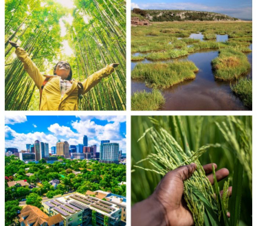 Konkurs "Esej o naturze"
