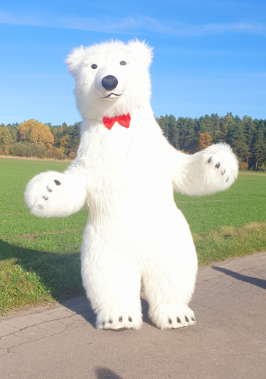 Konkurs "Miś Lucjan"