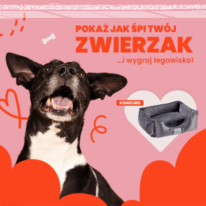 Konkurs "Pokaż jak śpi twój zwierzak"